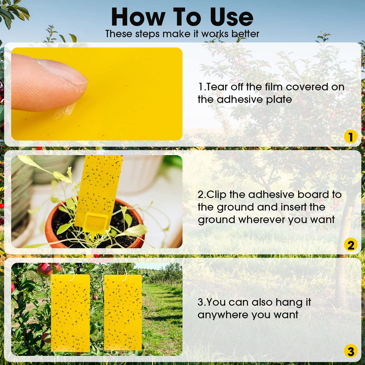 Qualirey yellow traps positioned near windows for pest monitoring