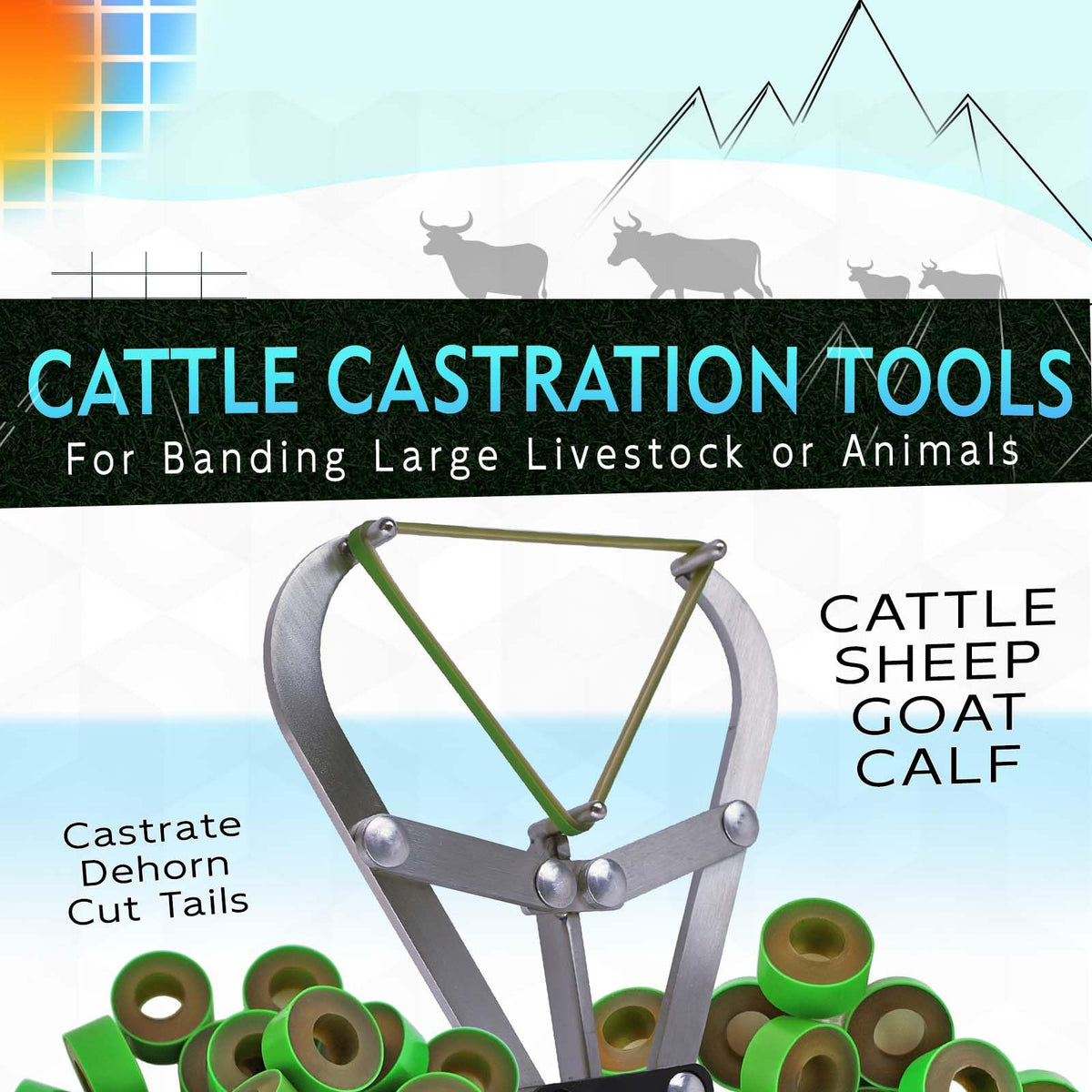 QUANSUPPLY castration kit with pliers and bands for efficient banding sessions.