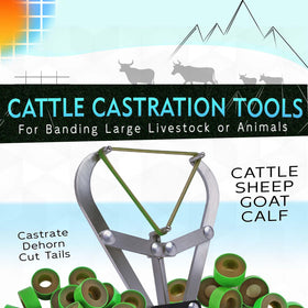 QUANSUPPLY castration kit with pliers and bands for efficient banding sessions.