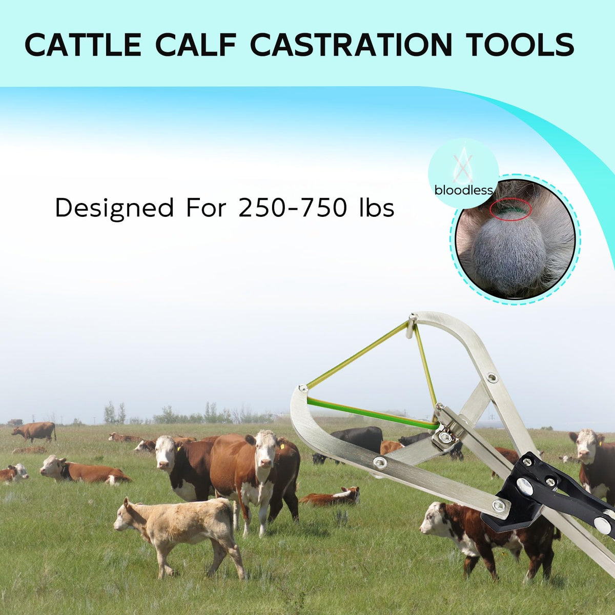 QUANSUPPLY stainless steel bander offers durable tool for repeated farm use.