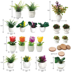 QuarenDen miniature potted plants brighten tabletops and shelves for cute decor