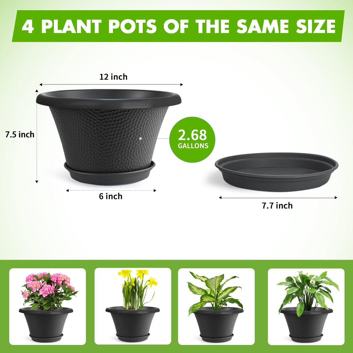 Quarut 12-inch pots suitable for indoor and outdoor spaces.