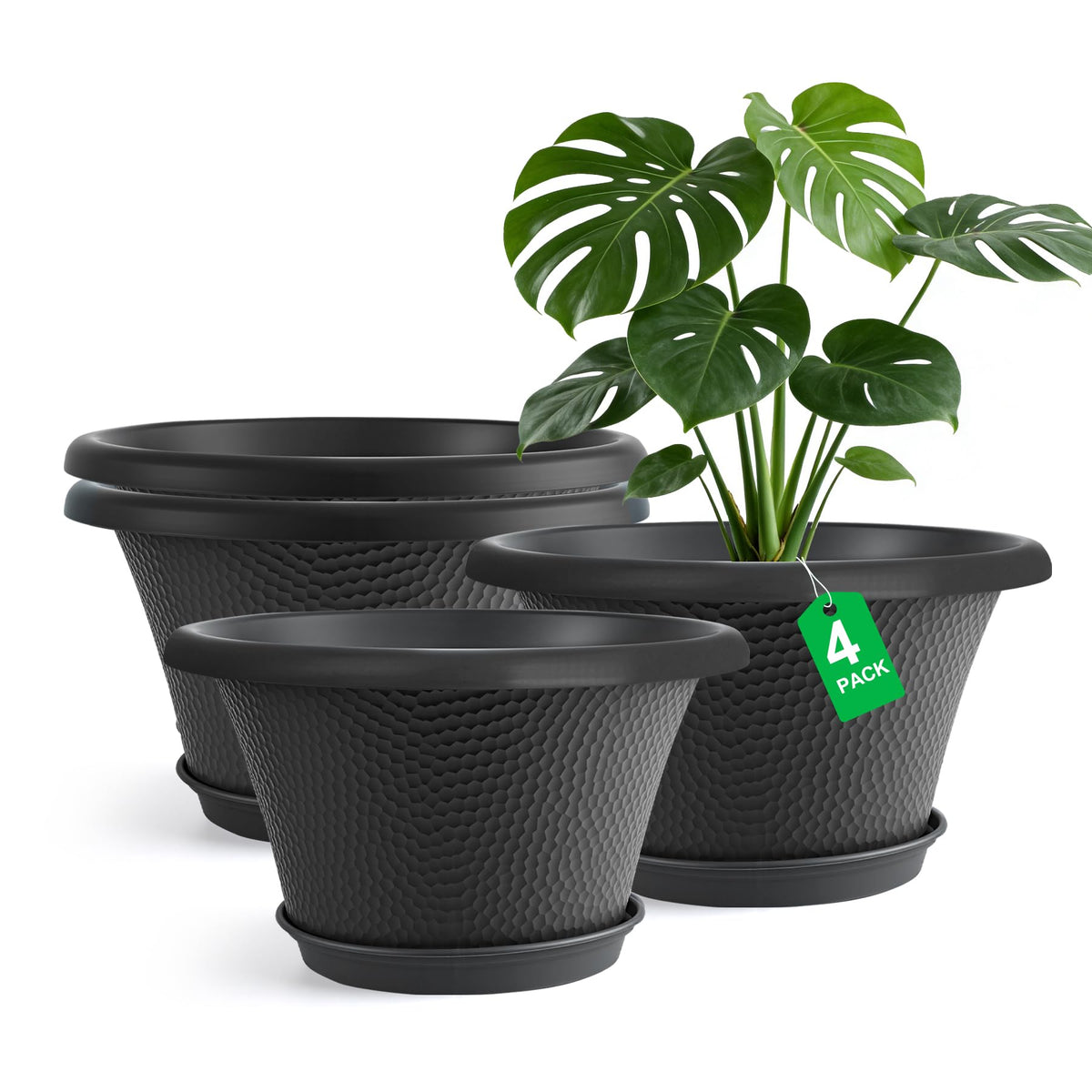 Quarut 12-inch patterned pot with color options for stylish indoor display.