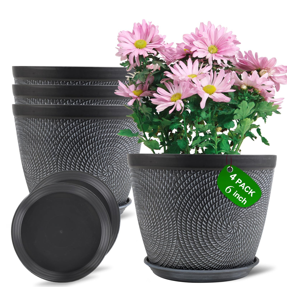 Quarut 6 inch pot with modern circle pattern to elevate indoor decor.