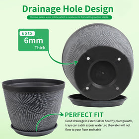 Quarut versatile planter suitable for a wide range of houseplants.