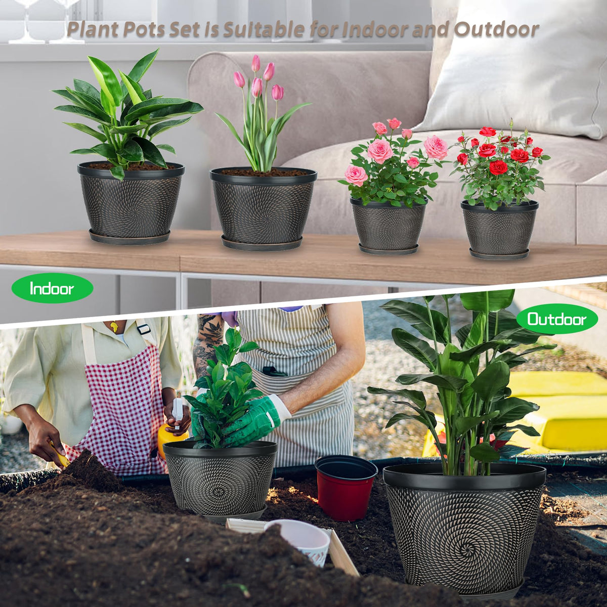 Quarut brown 10 inch pot with plant enhances stylish home spaces