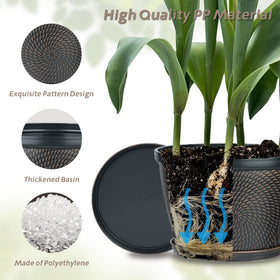 Quarut brown pot on indoor windowsill styling for fresh greenery