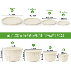 Quarut four-pack planters with drainage holes for convenience