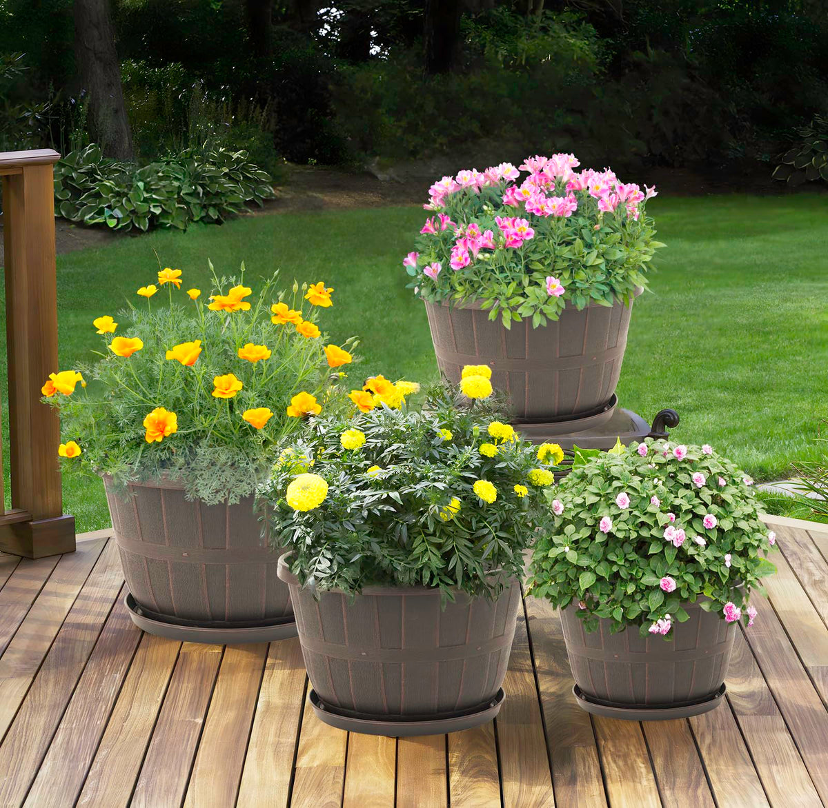 Quarut indoor outdoor planter suitable for living rooms, patios, and offices