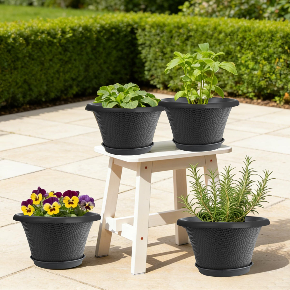 Quarut 12-inch pots are easy to move on decks or sunrooms.