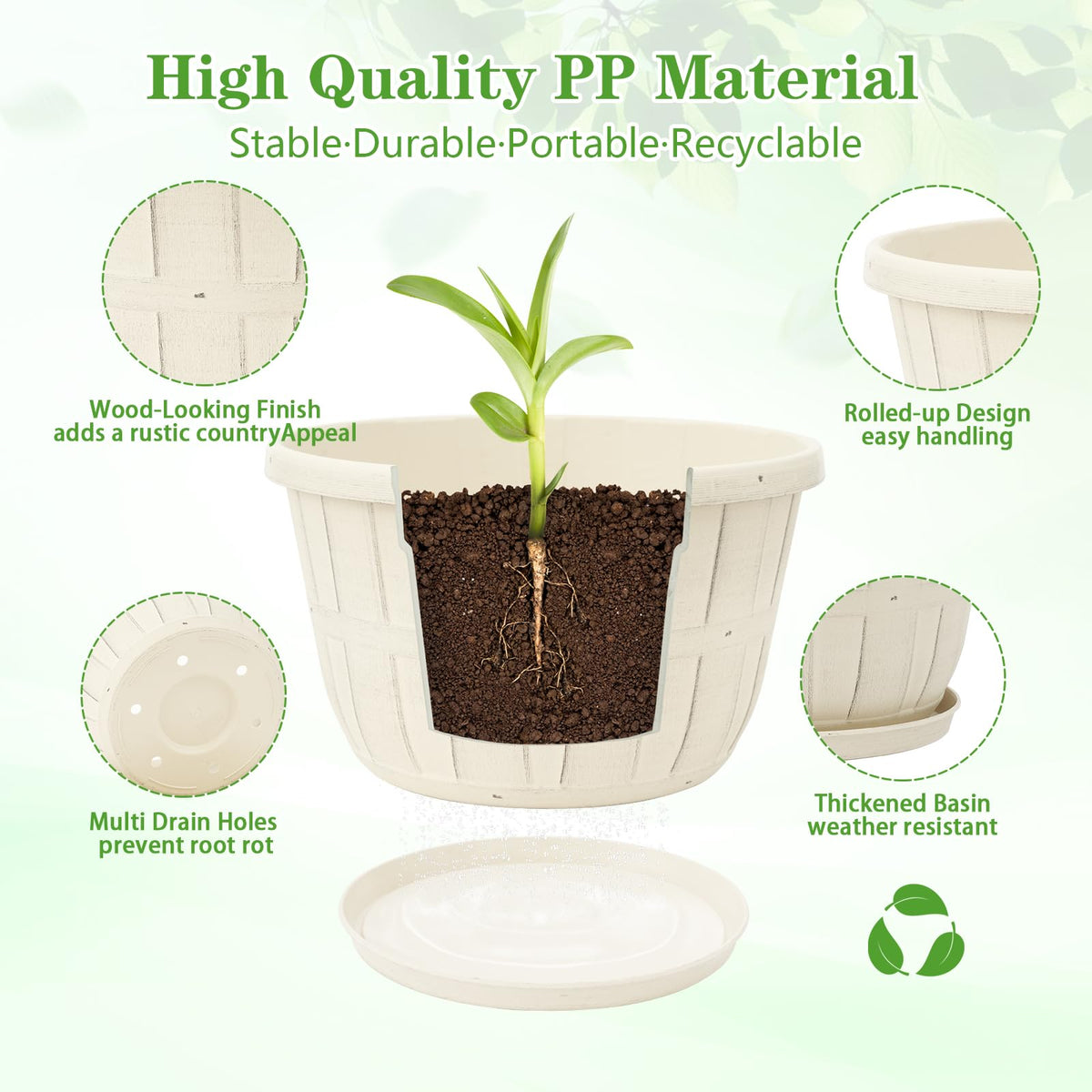 Quarut planter with saucer for spill-free water management.