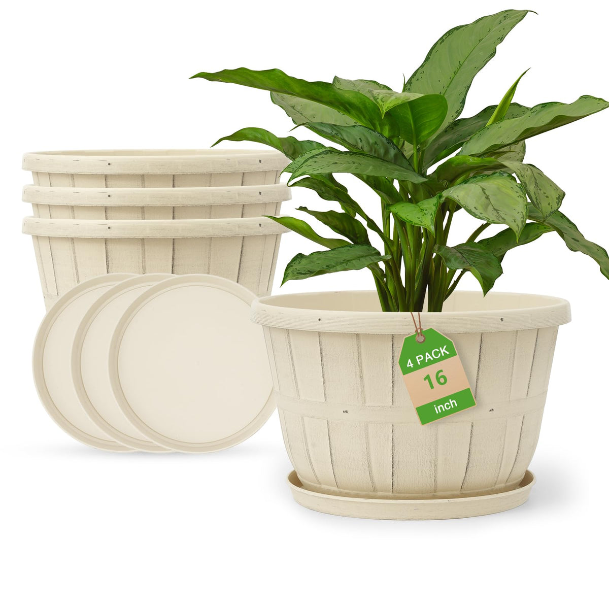 Quarut whiskey-barrel planter 16-inch for large indoor plants.