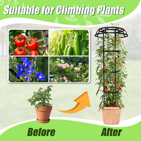 Quibbay 2-pack garden trellis suits vines, roses, and vegetables.