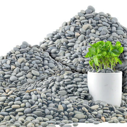 Quibbay 45 lb Mexican beach pebbles for landscape design and walkways