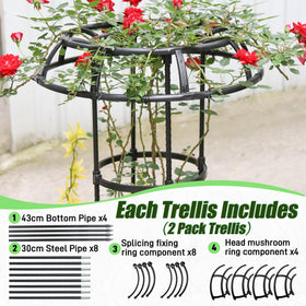 Quibbay Easy Assembly Trellis requires no tools for quick setup