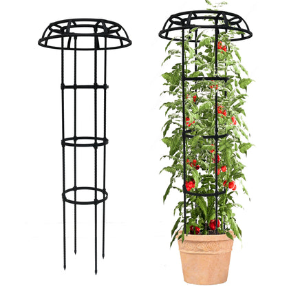 Quibbay garden trellis mushroom-top assembly supports climbing plants in your outdoor space.