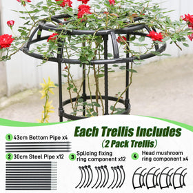 Quibbay mushroom-top design adds unique charm to your garden trellis.