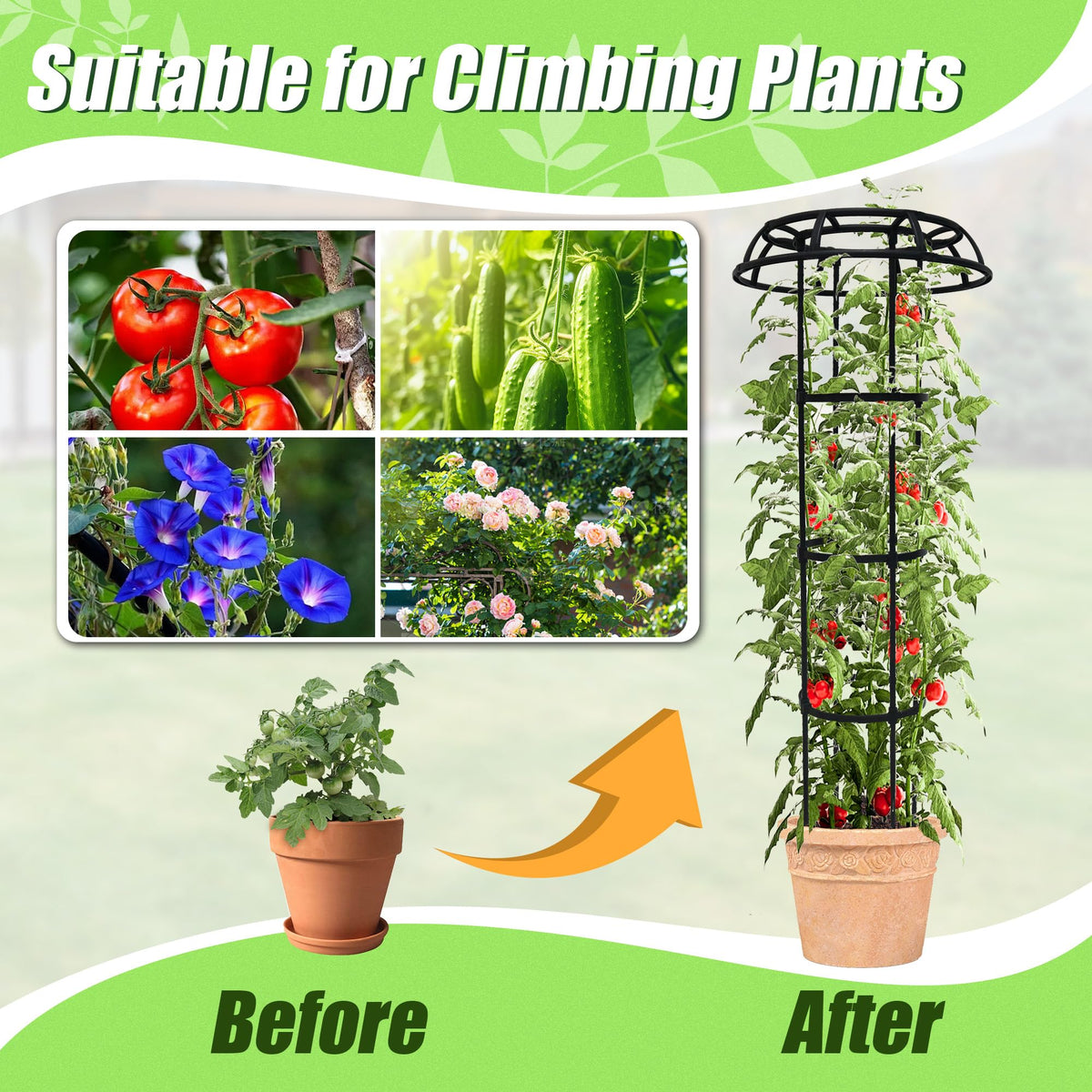 Quibbay Night-light Ready Trellis for hanging string lights