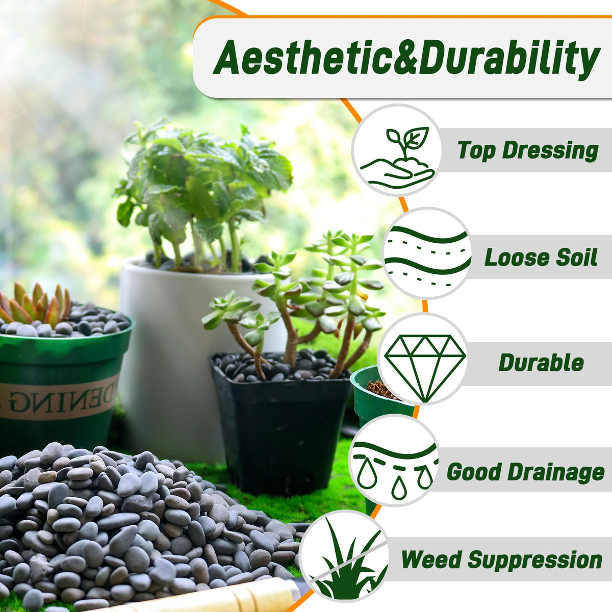 Quibbay succulent decor pebbles for containers