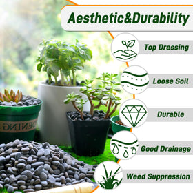 Quibbay succulent decor pebbles for containers