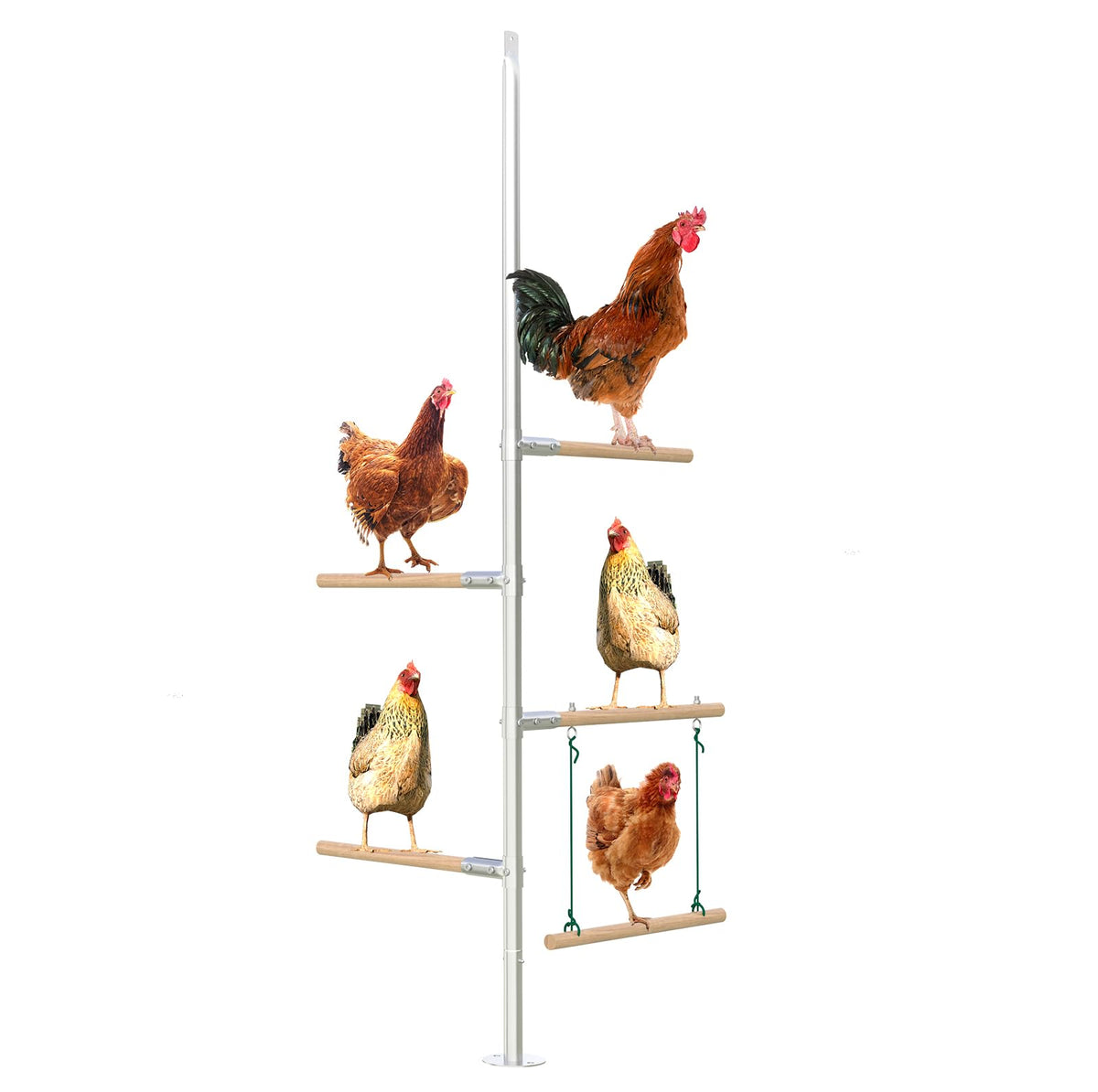 Quictent metal chicken perch installed in a coop for stable roosting