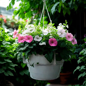 Quintriae 12-inch top and 9.5-inch bottom tray fits 11–12 inch pots.