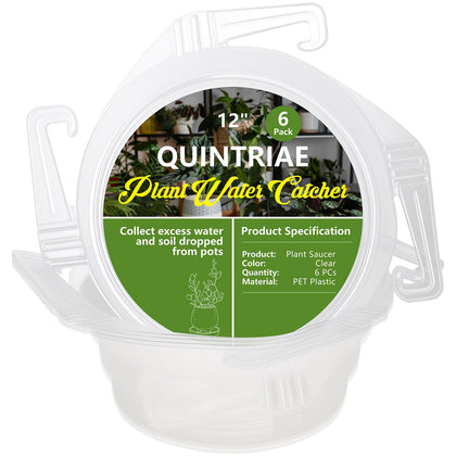 Quintriae hanging drip tray top view shows clear water catcher for surfaces protection.