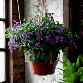 Quintriae versatile use on porch, balcony, indoors or outdoors.