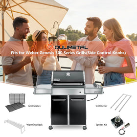 Genesis grill compatibility with 2007-2010 models using QuliMetal bars