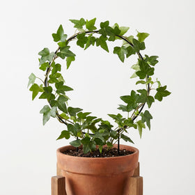 Qulkws easy-install plant stand; twining vines grow without tools