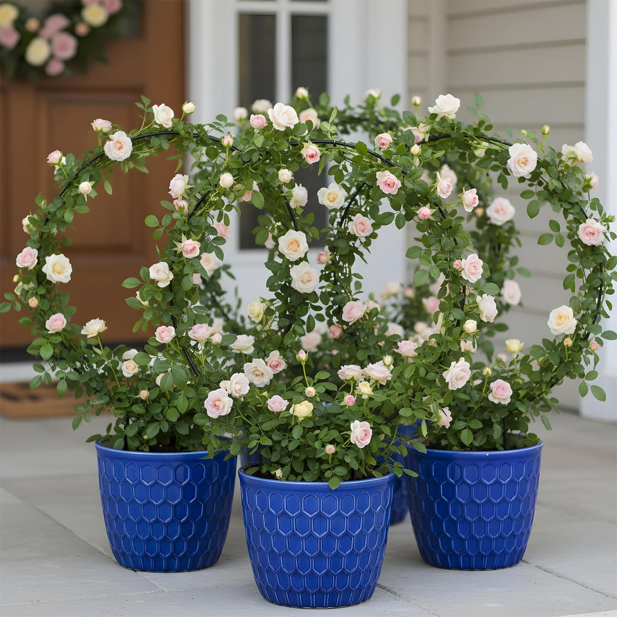 Qulkws round-ring design helps vines grow upright