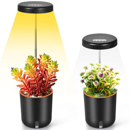 QUMAKU full spectrum mini grow light illuminating a compact desk garden for vibrant greens