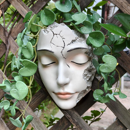 qumhmup elegant goddess-face wall planter for a stylish succulent display.