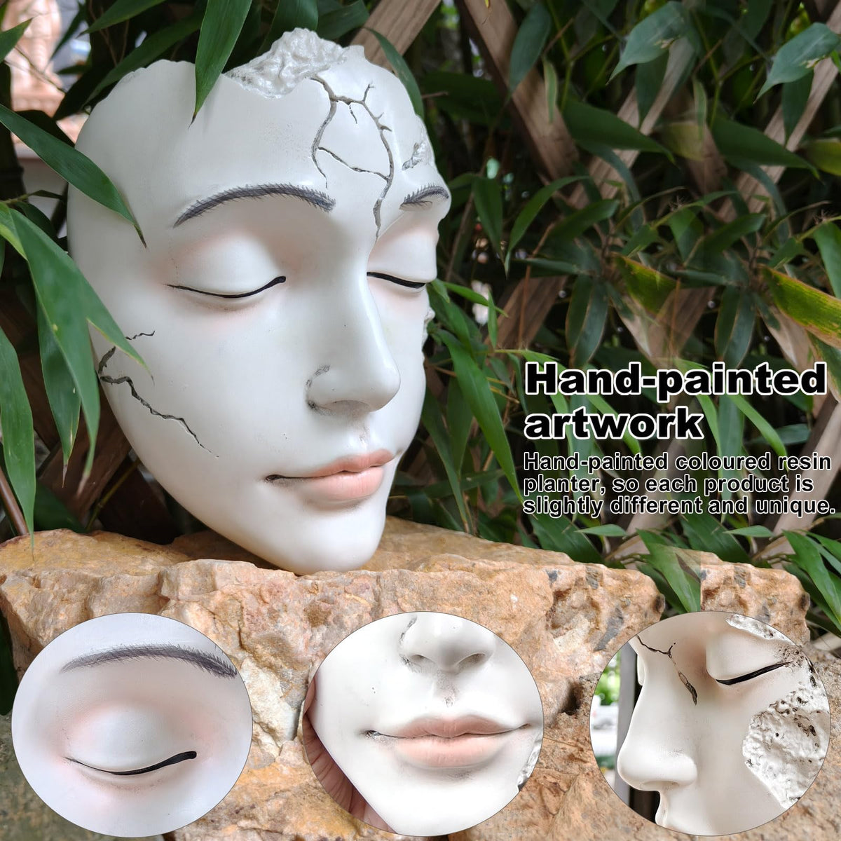 qumhmup versatile design suits succulents, cacti, orchids, and trailing vines.