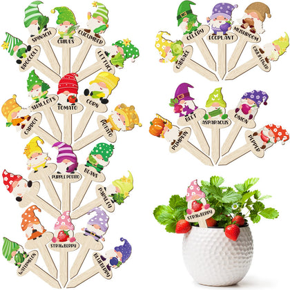 Qunclay gnome marker with vegetable labels for easy garden organization and care