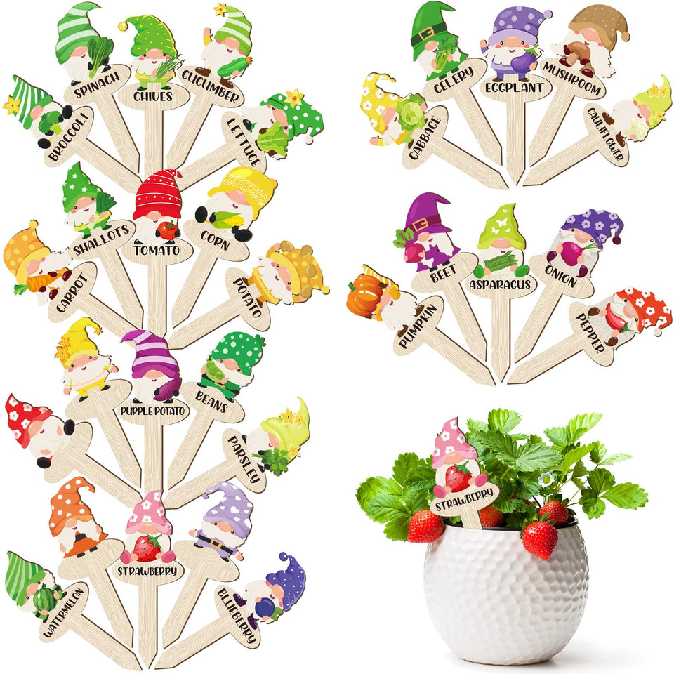 Qunclay gnome marker with vegetable labels for easy garden organization and care
