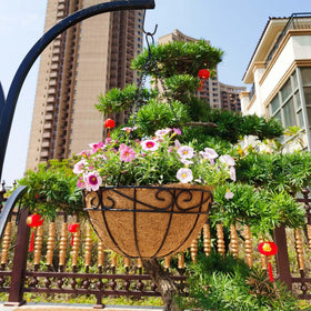 Qusuxi 14-inch hanging basket coco fiber liner enhances airflow and moisture retention.