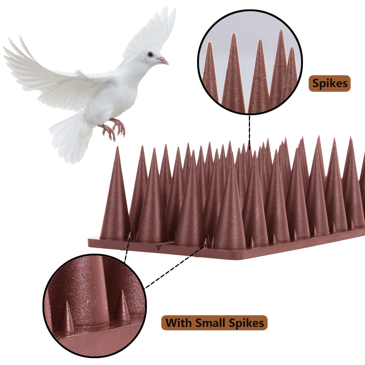 Quunoot Bird Spikes installed on a fence for discreet deterrence