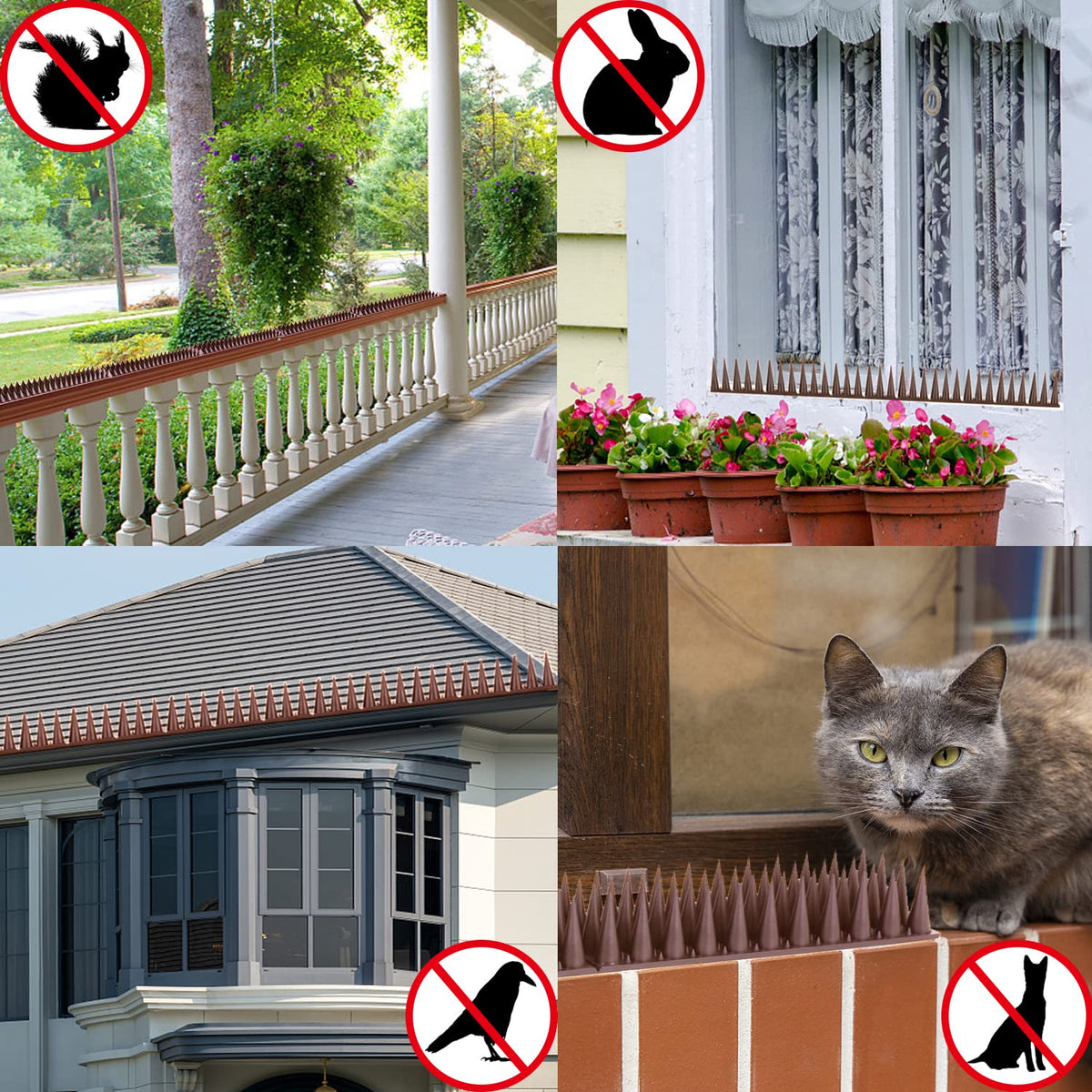 Quunoot Bird Spikes help keep roofs and ledges clear