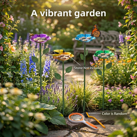 Quzovlta sunlit-path setup featuring the four-color bee watering cups