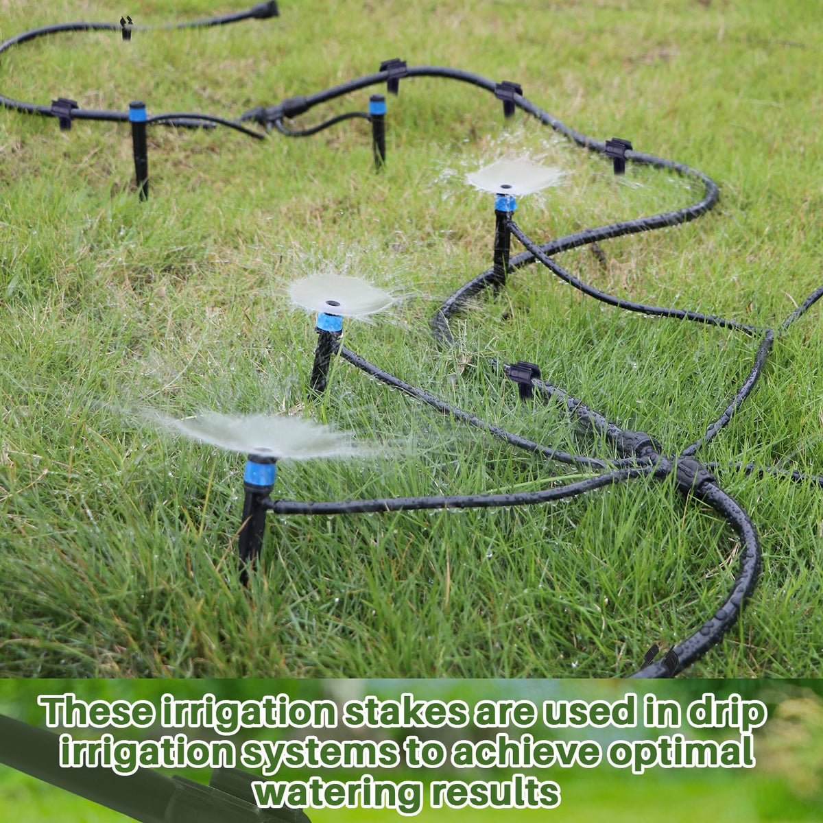 Quzzil weather-resistant PP stake proves durable in outdoor conditions.