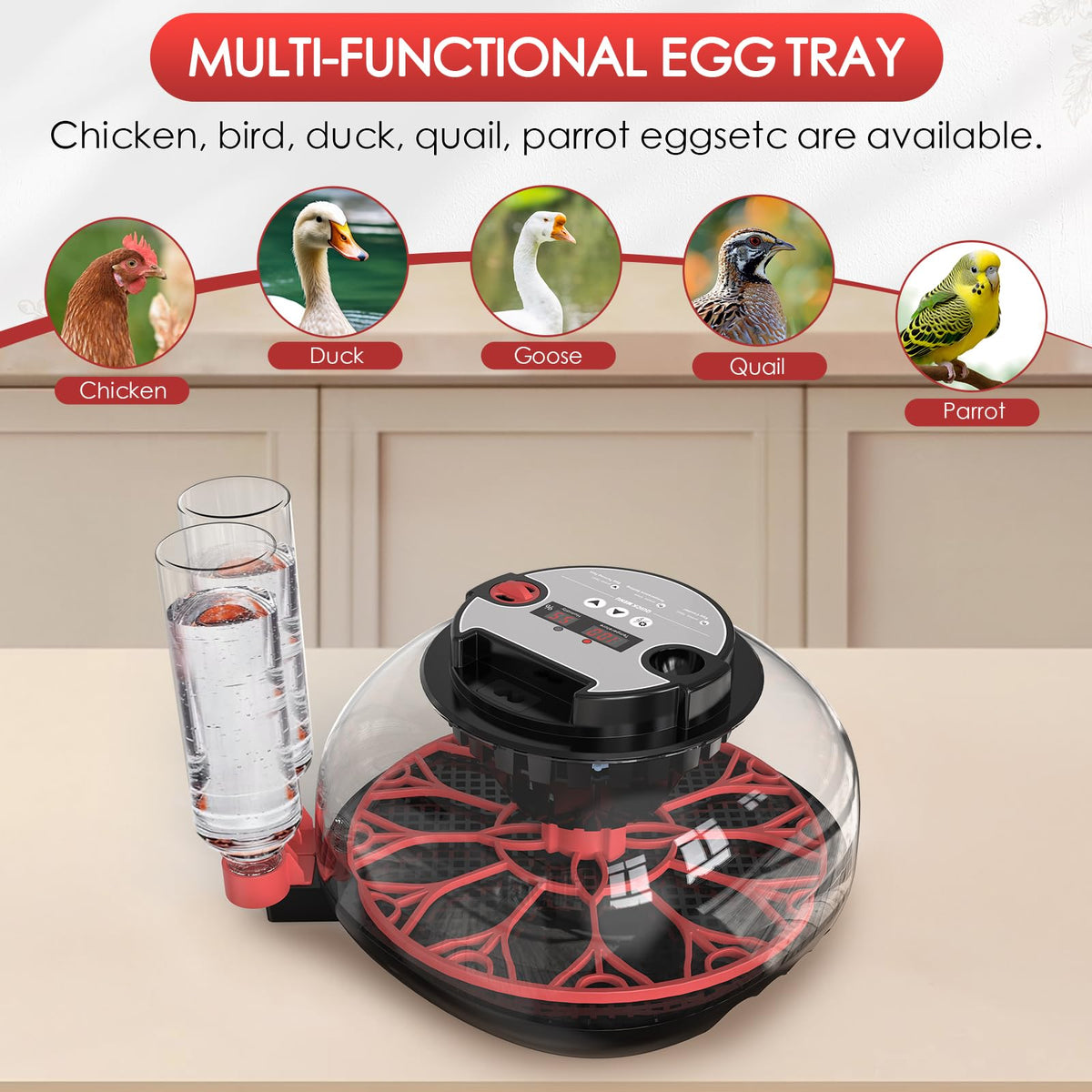 QVKHPCL incubator auto-turner with 360-degree airflow for even development.