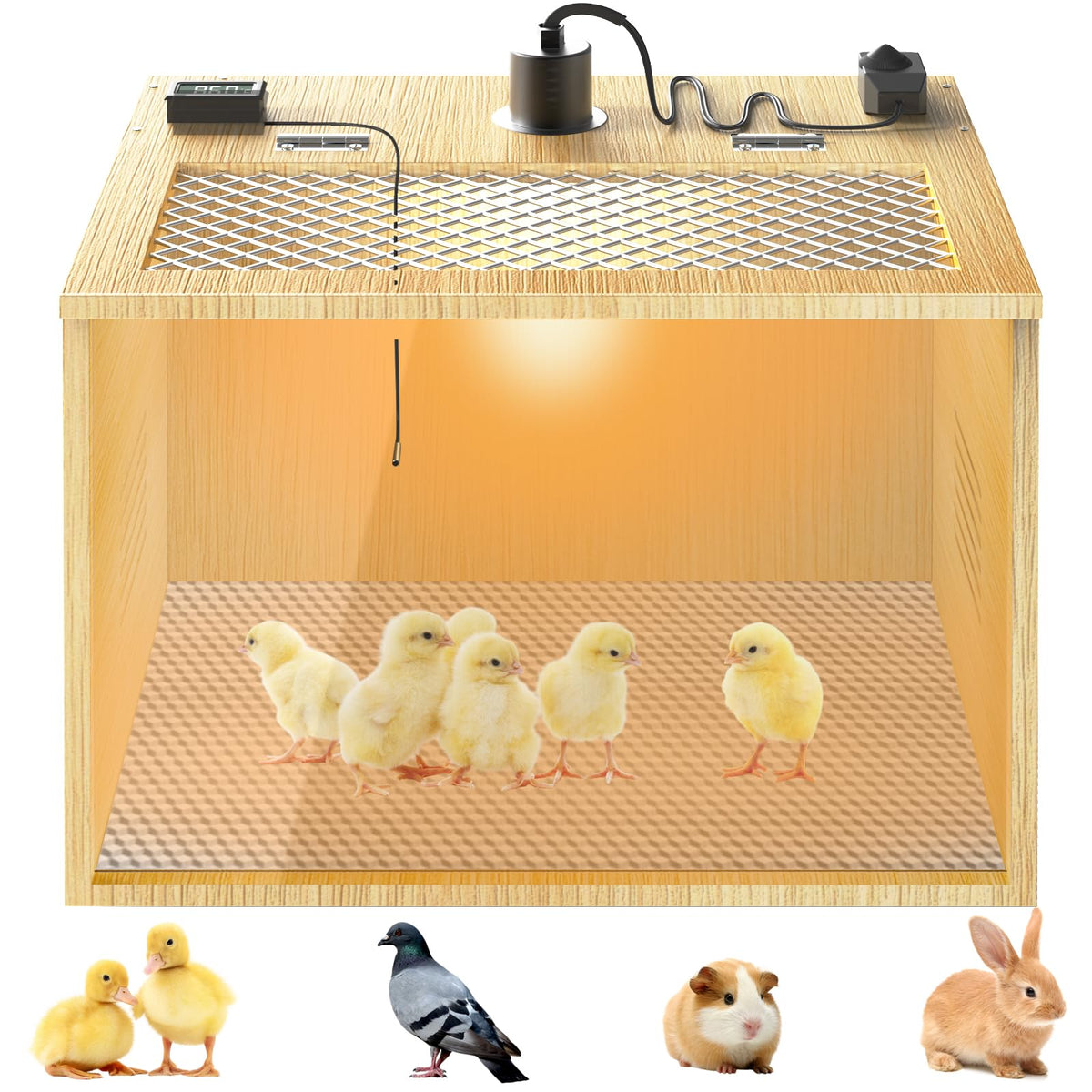 QVVCOOP 16-inch wooden brooder box offers spacious space for chicks.
