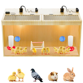 QVVCOOP brooder box interior showing spacious space for 12–15 chicks