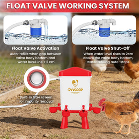 QVVCOOP 3-gallon capacity supports longer intervals between refills.
