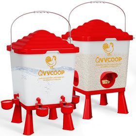 QVVCOOP hygienic coop watering system supporting clean water and feeding routines