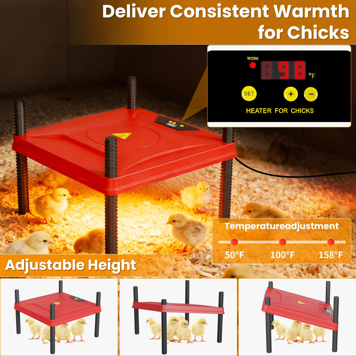 QVVCOOP spacious 50x43x25 inch brooder enables up to 30 chicks.