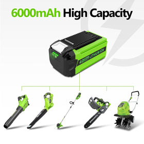 Qwenoer 40V battery LED indicator shows charge status