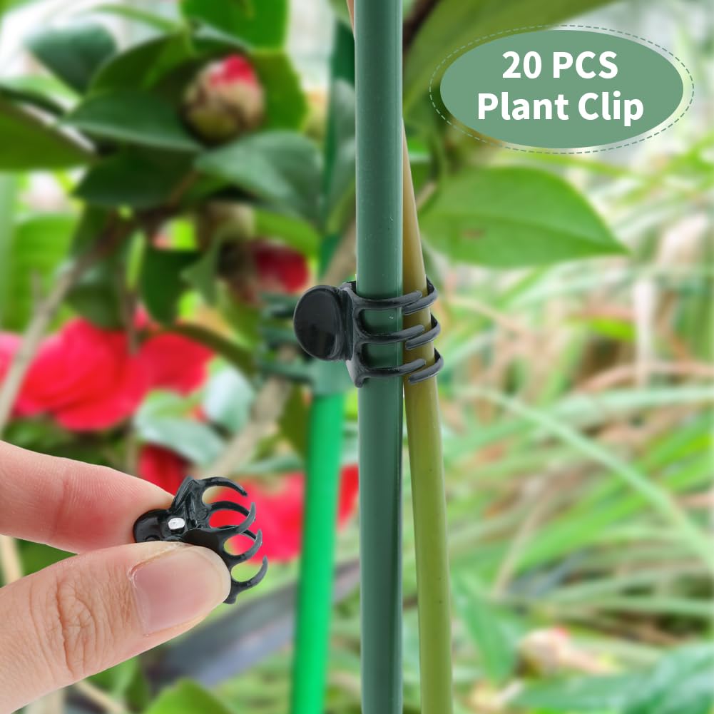 QWLWBU circle ring in soil provides adjustable staking for upright growth.