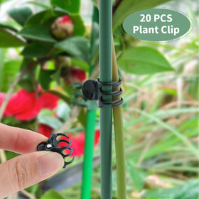 QWLWBU circle ring in soil provides adjustable staking for upright growth.